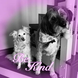 Meet your Posher, Dawne